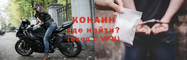 прущие грибы Дмитров