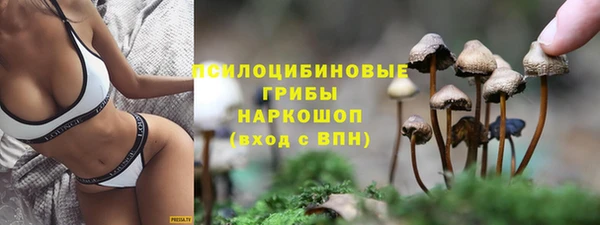 мдма Медногорск