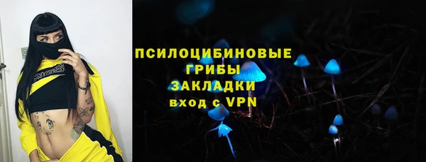 стафф Дмитровск