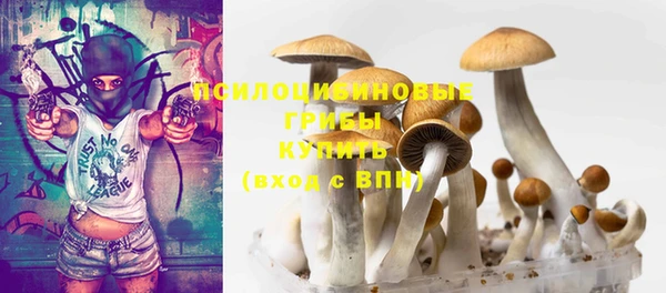 мдма Медногорск